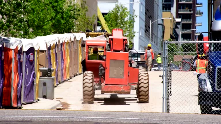 Best Root Management and Removal  in Duluth, MN